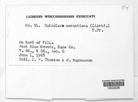 Image Associated With the Occurence